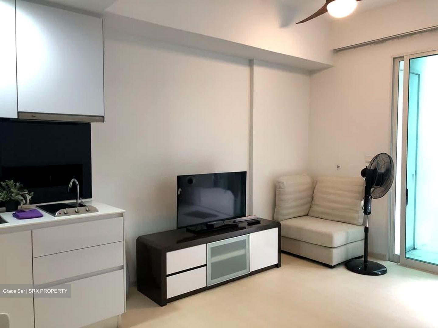 Grandview Suites (D14), Apartment #595750921